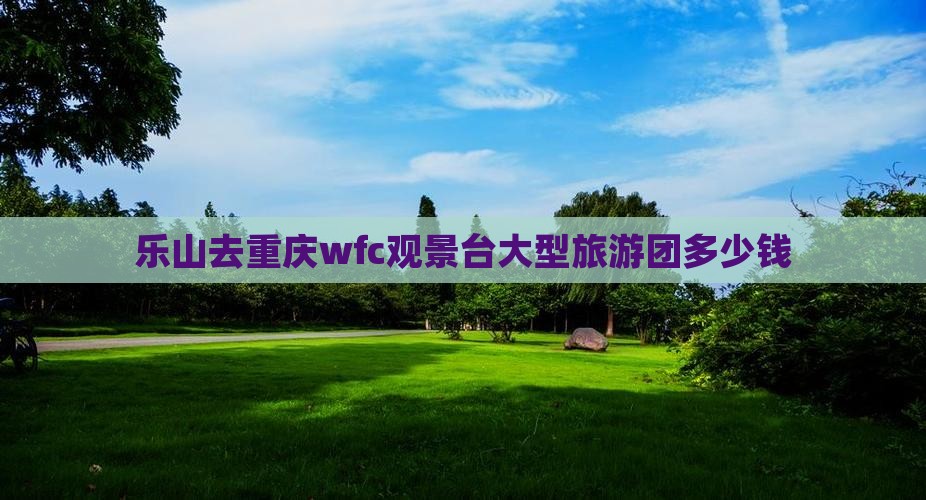 乐山去重庆wfc观景台大型旅游团