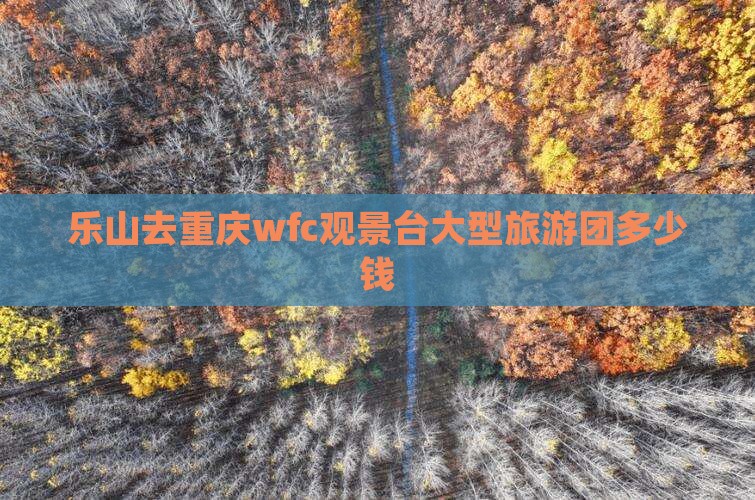 乐山去重庆wfc观景台大型旅游团