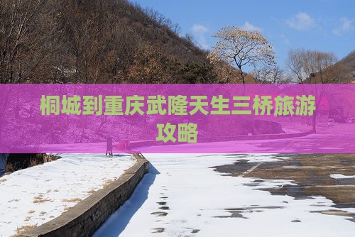 桐城到重庆武隆天生三桥攻略