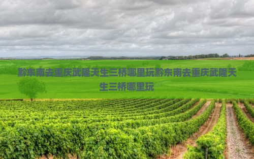 黔东南去重庆武隆天生三桥哪里玩