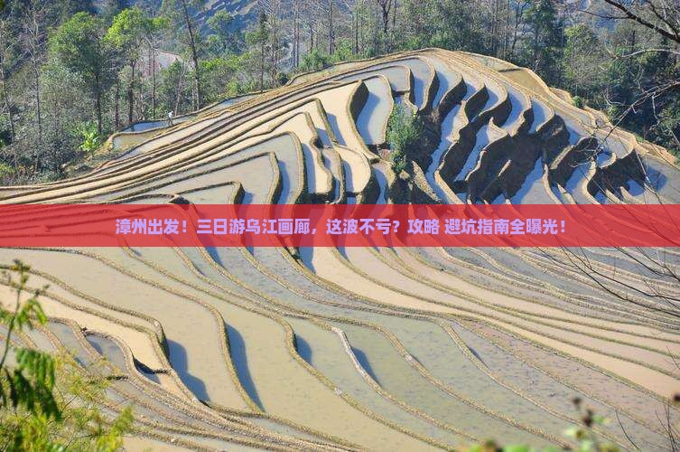 漳州去重庆乌江画廊三日游 漳州去重庆乌江画廊三日游