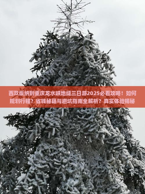 西双版纳到重庆龙水峡地缝三日游