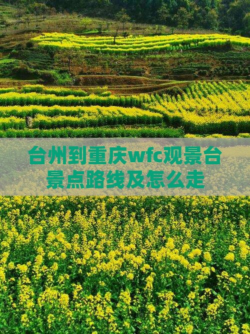 台州到重庆wfc观景台景点
