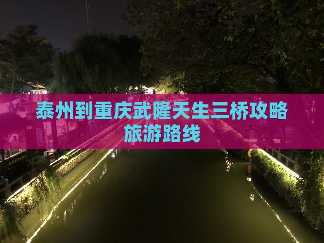 泰州去重庆武隆景点