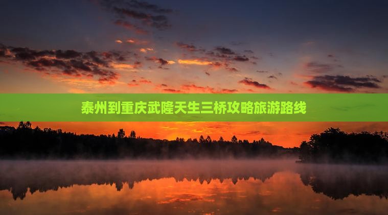泰州去重庆武隆景点