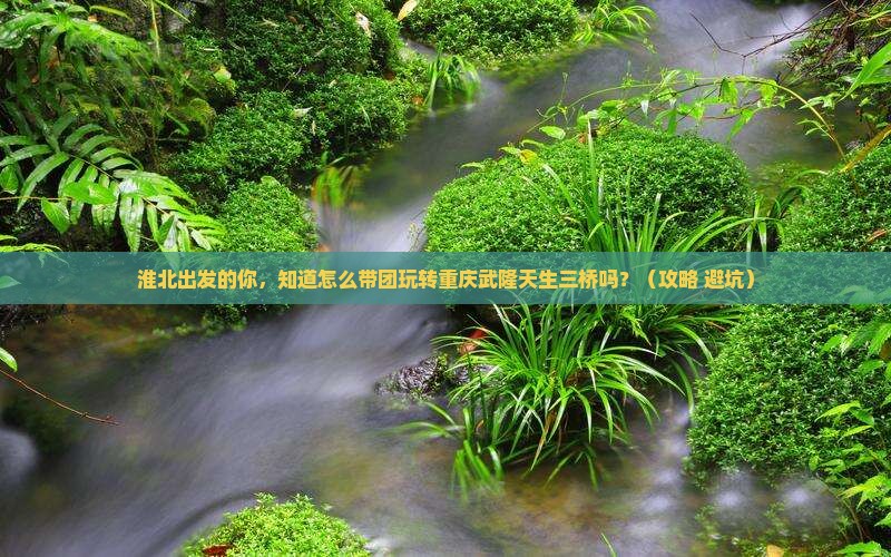 淮北到重庆武隆天生三桥团体旅游