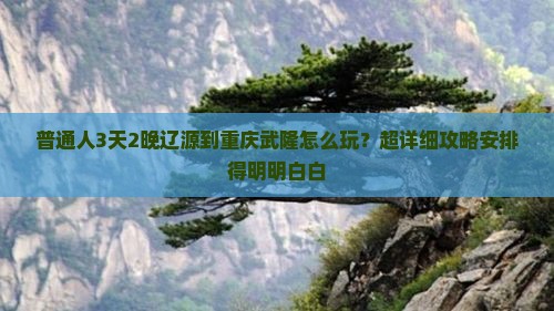 辽源去重庆武隆三日游