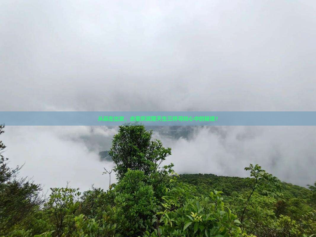 崇左去重庆武隆天生三桥旅游