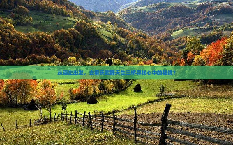 崇左去重庆武隆天生三桥旅游