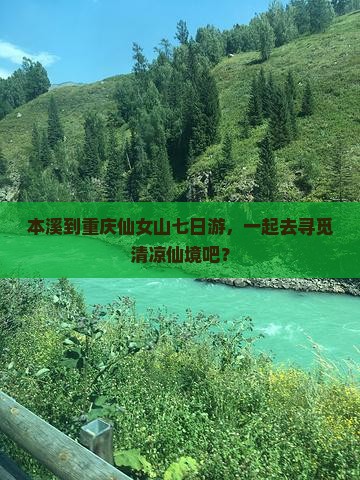 本溪去重庆仙女山七日游