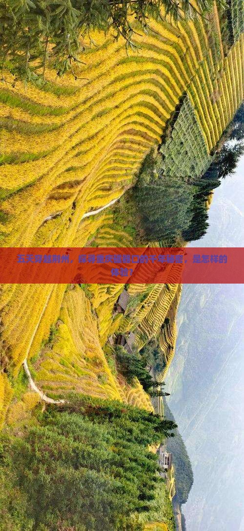 荆州到重庆磁器口五日游