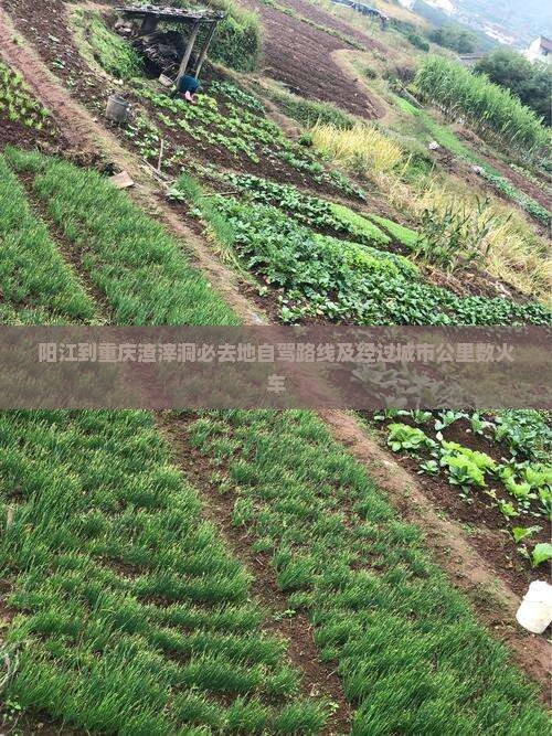 阳江到重庆渣滓洞必去地 阳江到重庆渣滓洞必去地
