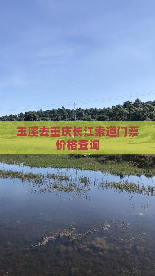 玉溪去重庆长江索道门票