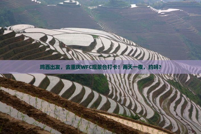 鸡西去重庆wfc观景台二日游