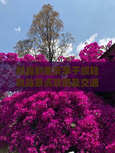 和县到重庆李子坝轻轨站景点 和县到重庆李子坝轻轨站景点