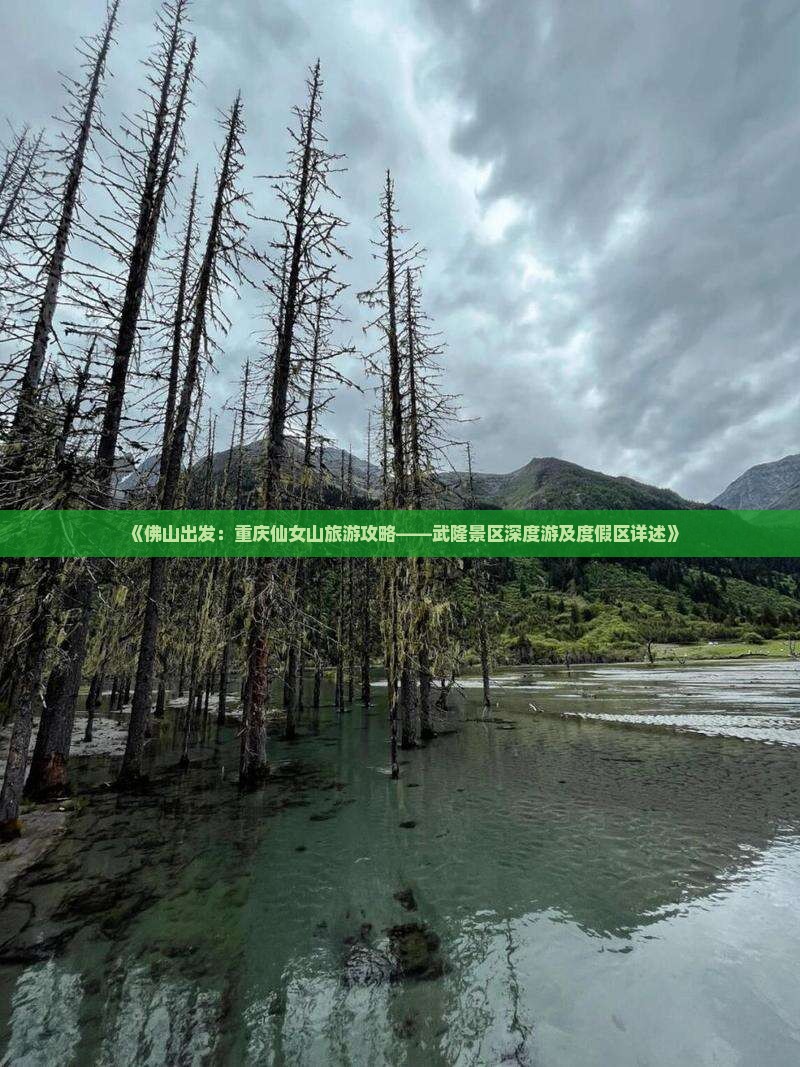 佛山到重庆仙女山景点