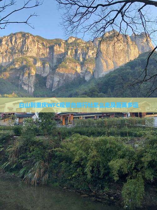 白山到重庆wfc观景台旅行社