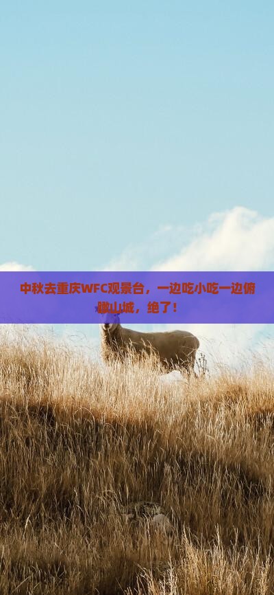 中秋节到重庆wfc观景台旅游小吃