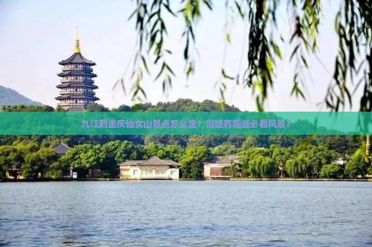 九江到重庆仙女山景点