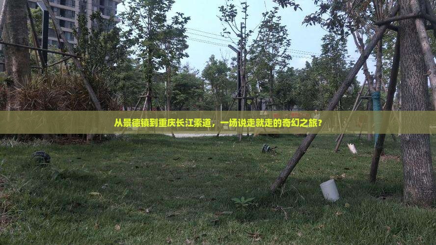 景德镇去重庆长江索道团体旅游