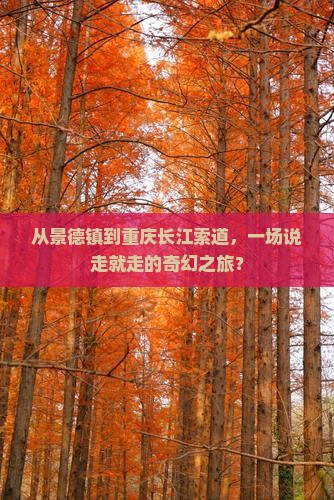 景德镇去重庆长江索道团体旅游