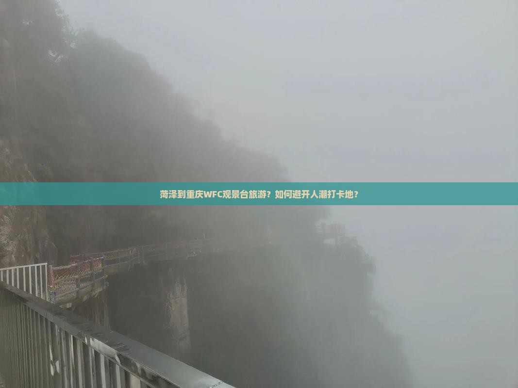 菏泽到重庆wfc观景台旅游 菏泽到重庆wfc观景台旅游