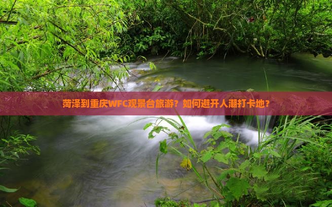 菏泽到重庆wfc观景台旅游 菏泽到重庆wfc观景台旅游