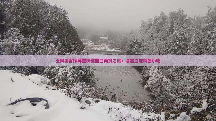 玉树到重庆磁器口旅游小吃