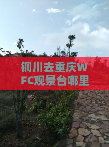 铜川去重庆wfc观景台哪里玩