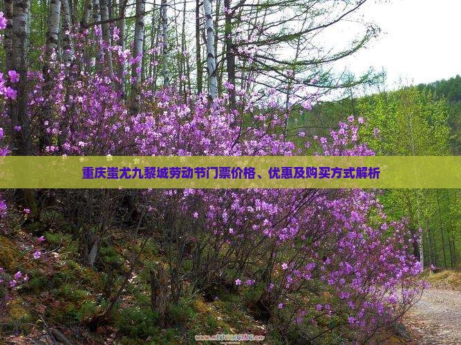劳动节去重庆蚩尤九黎城门票 劳动节去重庆蚩尤九黎城门票