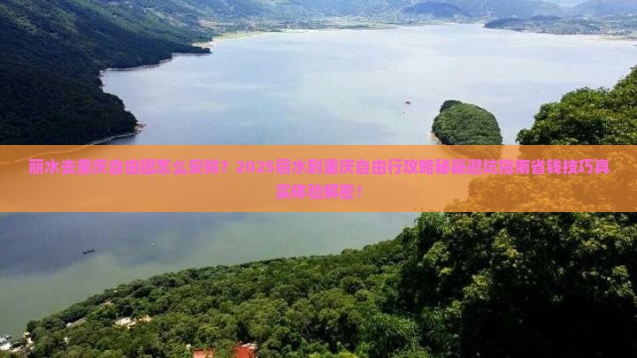 丽水去重庆自由团