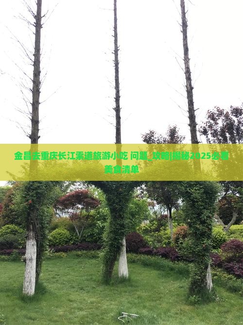金昌去重庆长江索道旅游小吃