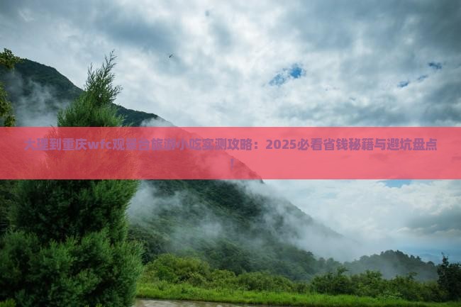 大理到重庆wfc观景台旅游小吃