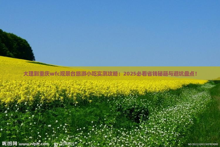 大理到重庆wfc观景台旅游小吃