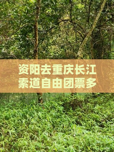 资阳去重庆长江索道自由团