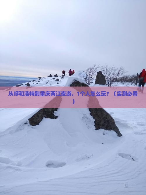 呼和浩特去重庆两江夜游个人游
