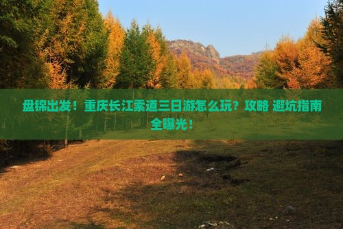 盘锦到重庆长江索道三日游