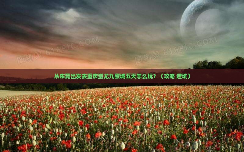 东莞到重庆蚩尤九黎城五日游