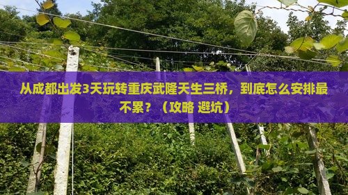 成都到重庆武隆天生三桥旅游