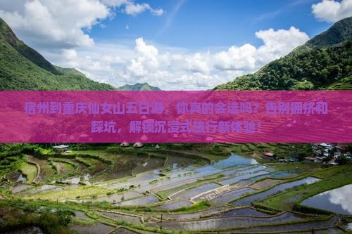 宿州到重庆仙女山五日游