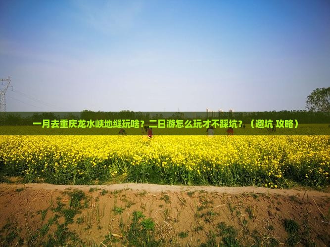 一月到重庆龙水峡地缝二日游