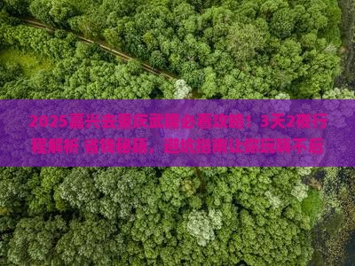 嘉兴去重庆武隆攻略