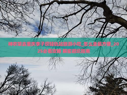 神农架去重庆李子坝轻轨站旅游小吃