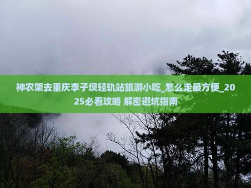 神农架去重庆李子坝轻轨站旅游小吃