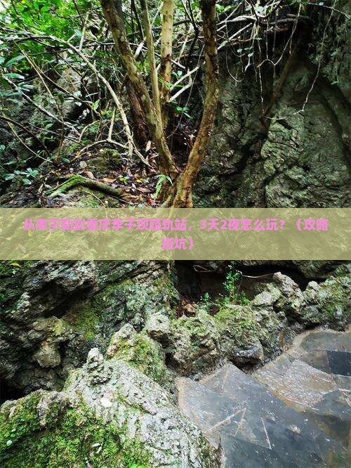 库尔勒到重庆李子坝轻轨站自由行