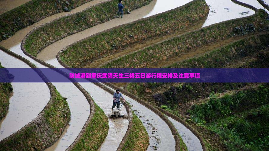 防城港到重庆武隆天生三桥五日游