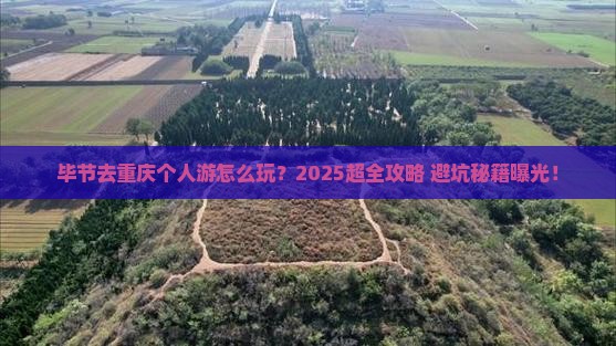 毕节去重庆个人游