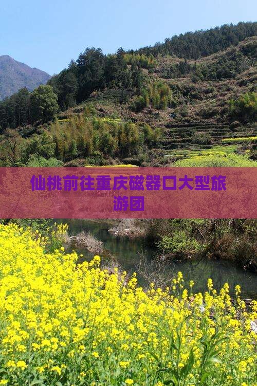 仙桃去重庆磁器口大型旅游团