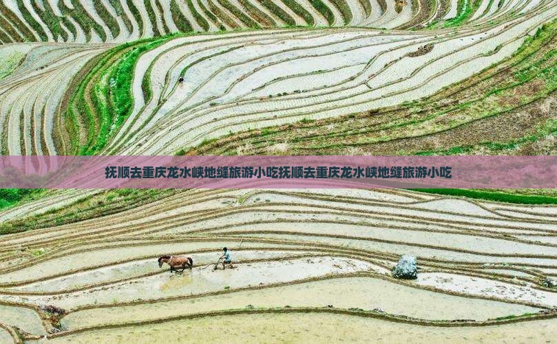 抚顺去重庆龙水峡地缝旅游小吃