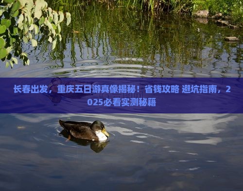 长春到重庆五日游